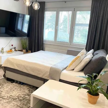 Utulny Blizko Centra Apartment